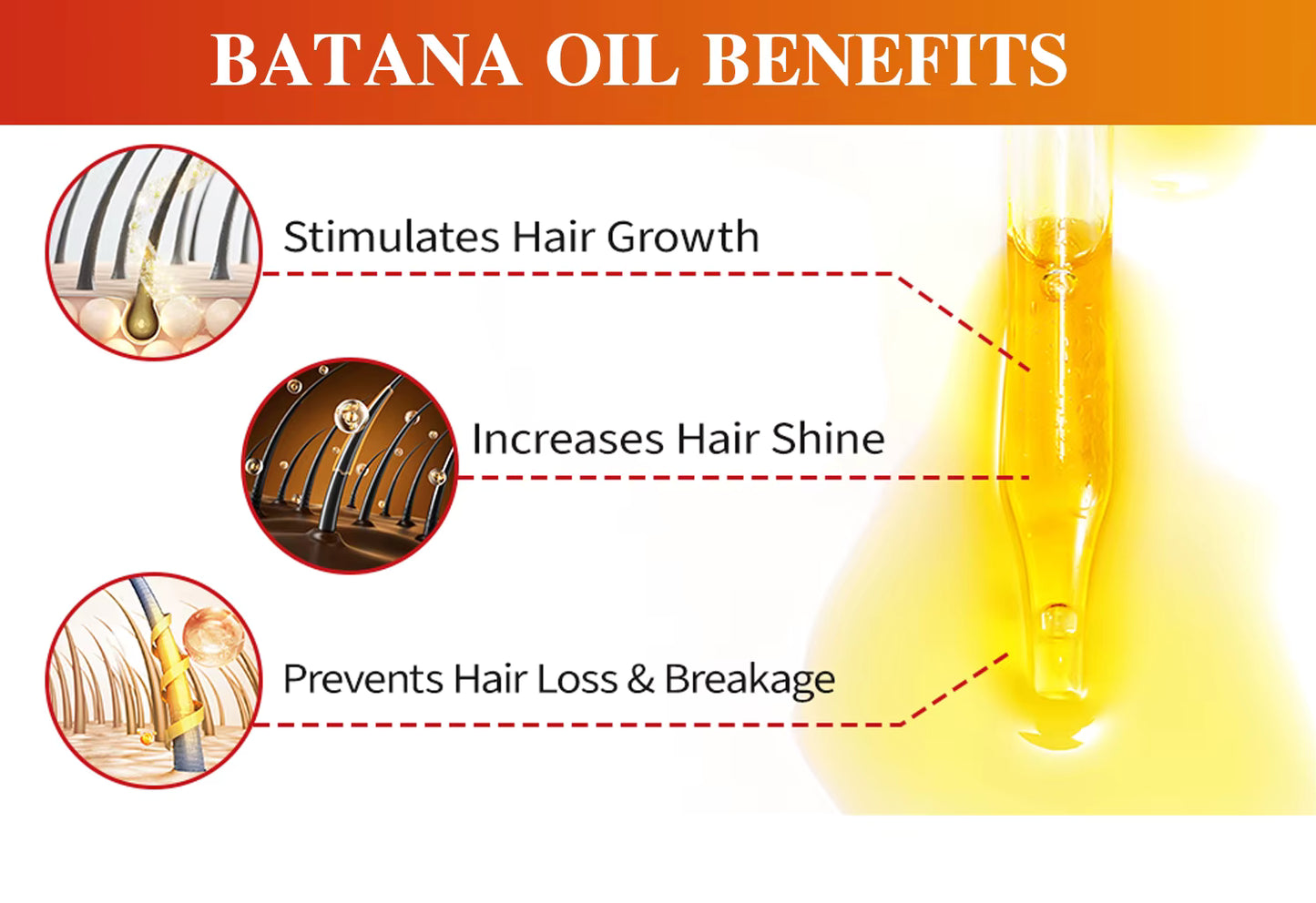 Organic Batana & Argan Hair Growth Oil (60ml) | SOVASH